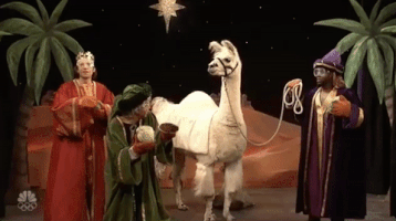 kevin hart snl GIF by Saturday Night Live