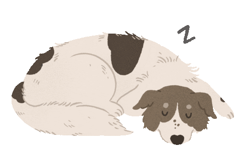 Animated Sticker