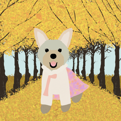 Autumntheyorkie GIF
