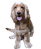FrescoDog frescodog frescofood frescodogfood Sticker