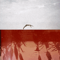 GIF by Blanca Viñas