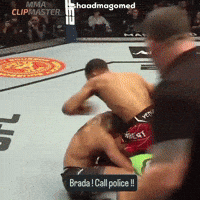 Khabib Nurmagomedov Ufc GIF