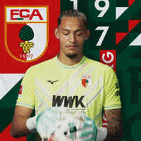 Ball Daniel GIF by FC Augsburg 1907