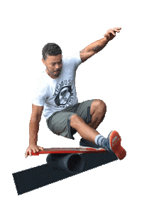 Balanceboard Evb Sticker by Evolution Board