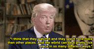 donald trump GIF