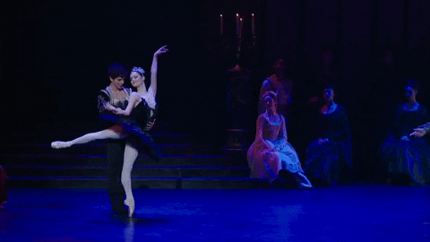 Swanlake GIF by English National Ballet