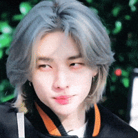 Skz Straykids GIF
