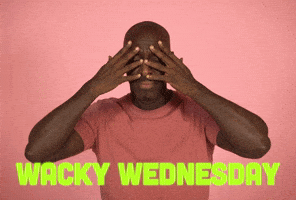 Wednesday Morning GIF by Sealed With A GIF