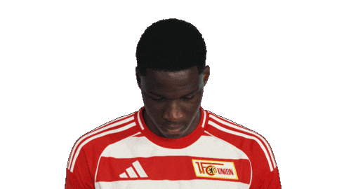 Union Berlin Sticker by Bundesliga