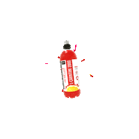 qntsport performance cranberry qnt l-carnitine Sticker