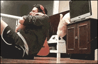 animals being jerks pushing GIF by SB Nation