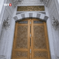 Night Drone GIF by TRT