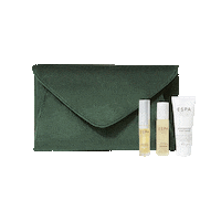 Advent Calendar Christmas Gifts Sticker by ESPA Skincare