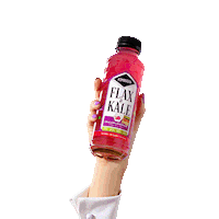 flaxandkale_es dragon spoiler kombucha sabor Sticker