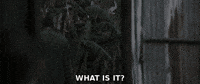 What Is It GIF