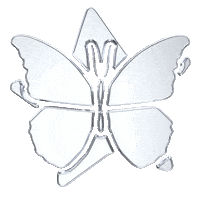 Butterfly Scandal Sticker by scandalbeauty