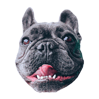 French Bulldog Love Sticker by Morty The Pug