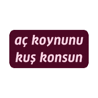Slogan Ankara Sticker by medya GaGa