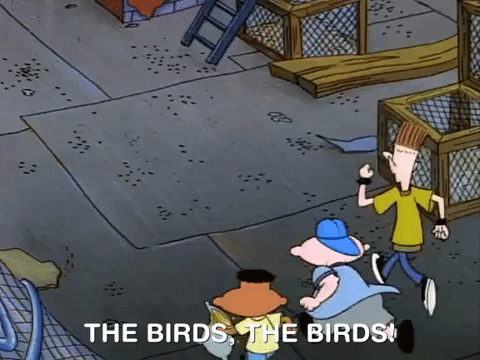 hey arnold nickelodeon GIF