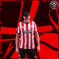 Walk In Sport GIF by Sheffield United Football Club