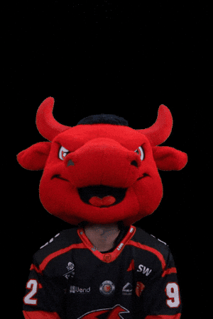 Happy Hockey GIF by Saale Bulls