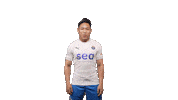 Singapore Premier League Lcs Sticker by Lion City Sailors