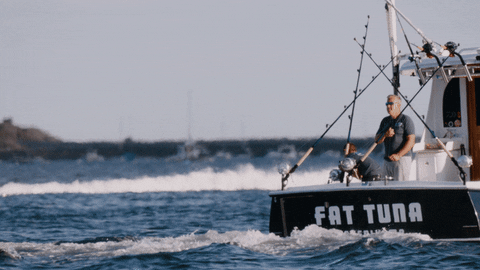 Wicked Tuna Dance GIF by National Geographic Channel