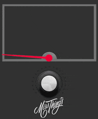 Toronto Hawaii GIF by Miss Thing's