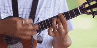 Dragon Hawaii GIF by Jake Shimabukuro