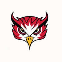 UnionOwlsAthletics union uc owls ucc GIF