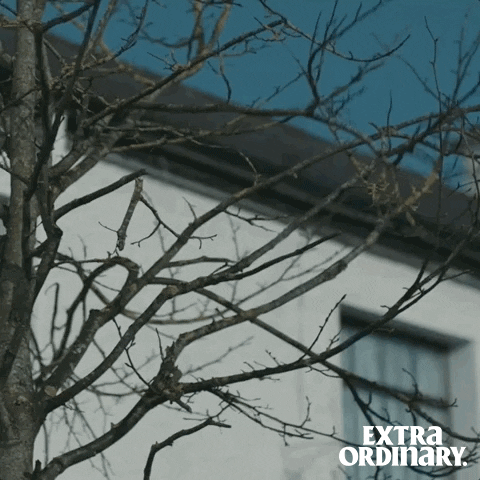 Extra Ordinary Movie GIF by Wildcard Distribution