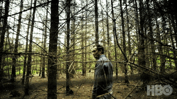 Jude Law Horror GIF by HBO