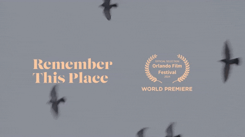 epiphyteproductions giphyupload world premiere real good films remember this place GIF