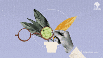 GIF by The Explainer Studio