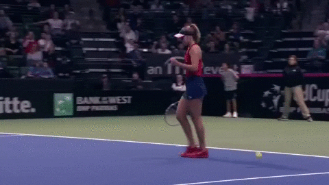 fedcup giphyupload usa tennis hyped GIF