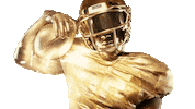 Football Nd Sticker by Notre Dame Fighting Irish