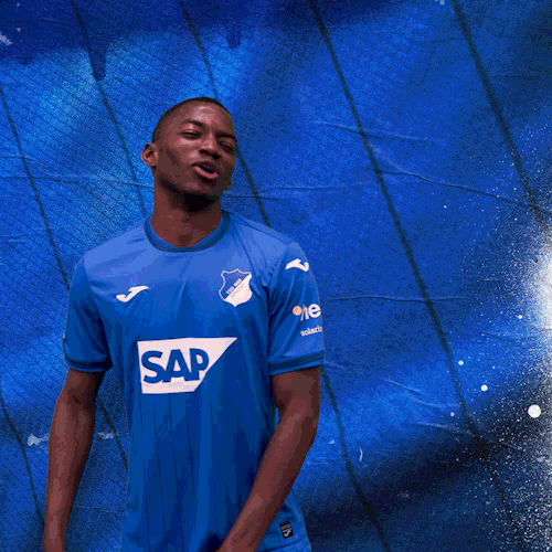 Sport Bundesliga GIF by TSG Hoffenheim