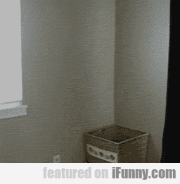 laundry GIF