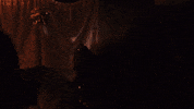 Scared Drag Queen GIF by Miss Petty