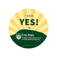 Cafes Learnbydoing Sticker by calpolyrodeo