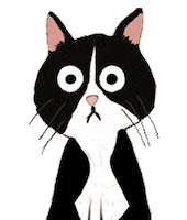 pamelanunesart cat pandega pamelanunesart Sticker
