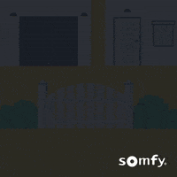 Car Home GIF by Somfy