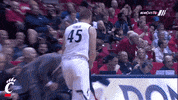 cincinnati bearcats GIF by University of Cincinnati Athletics