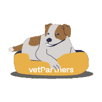 Sleepy Dog Sticker by VetPartners