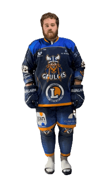 Celebration Goal Sticker by Hockey Club Châlonnais