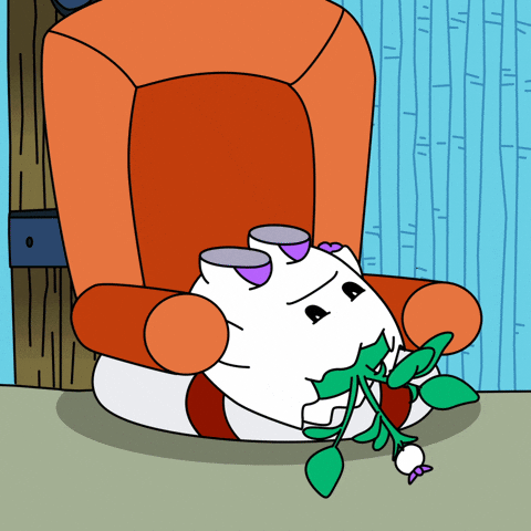 Tired Any Day Now GIF by Magic Eden