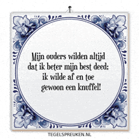 Humor Nl GIF by Tegelspreuken.nl