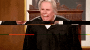 Gary Busey Court GIF by Gary Busey: Pet Judge