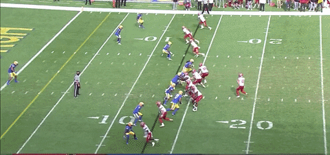 therealessad giphygifgrabber ncstate GIF