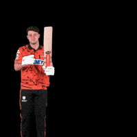 Sec Hermann GIF by Sunrisers Eastern Cape